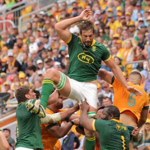 A Springbok rugby player in a green jersey is lifted high by teammates to catch the ball, while players in yellow jerseys try to contest him. The stadium crowd is visible in the background.