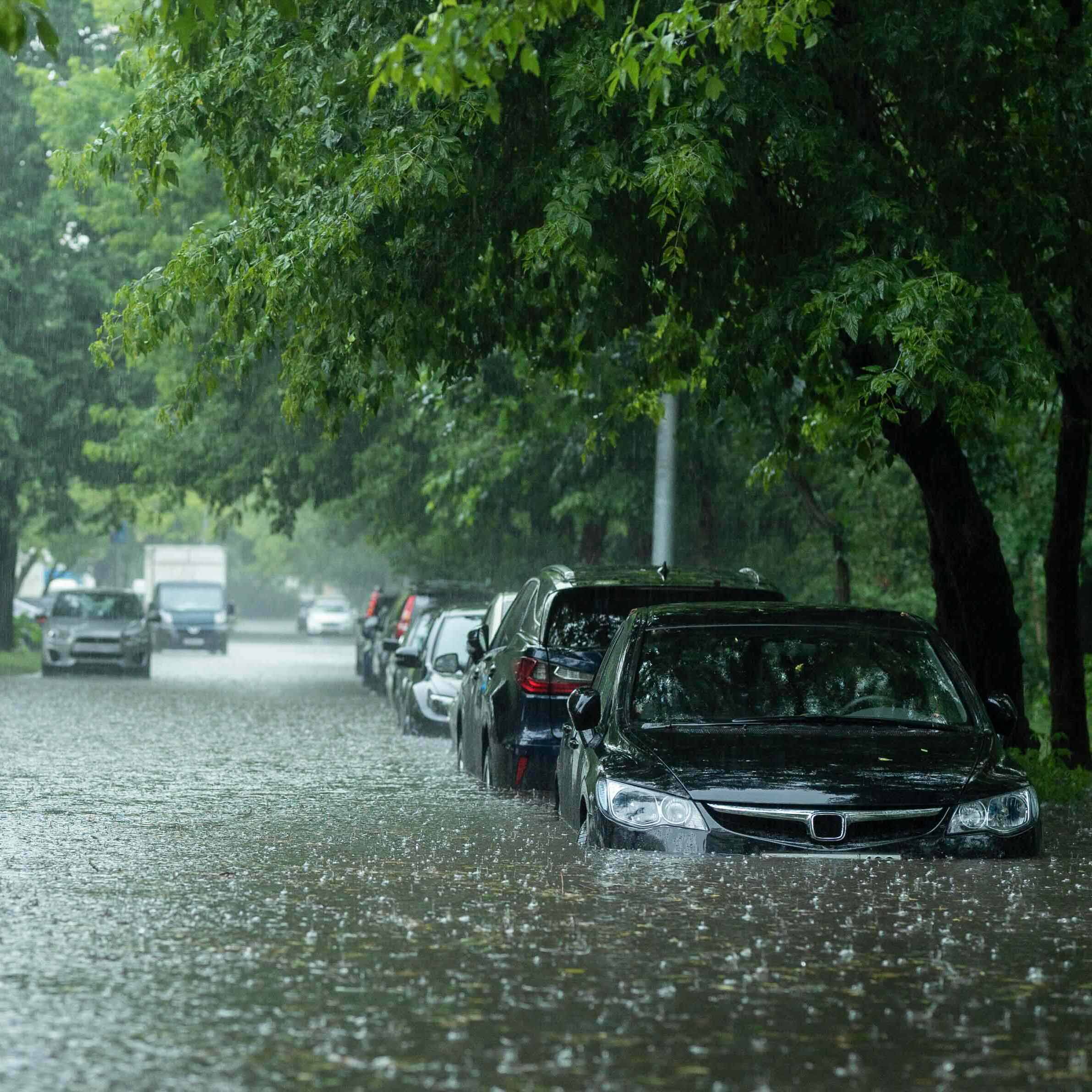 Cars are parked on a street flooded with rainwater, with water reaching up to the lower doors; trees line the street as heavy rain from severe weather continues to fall, creating a gray and gloomy atmosphere.