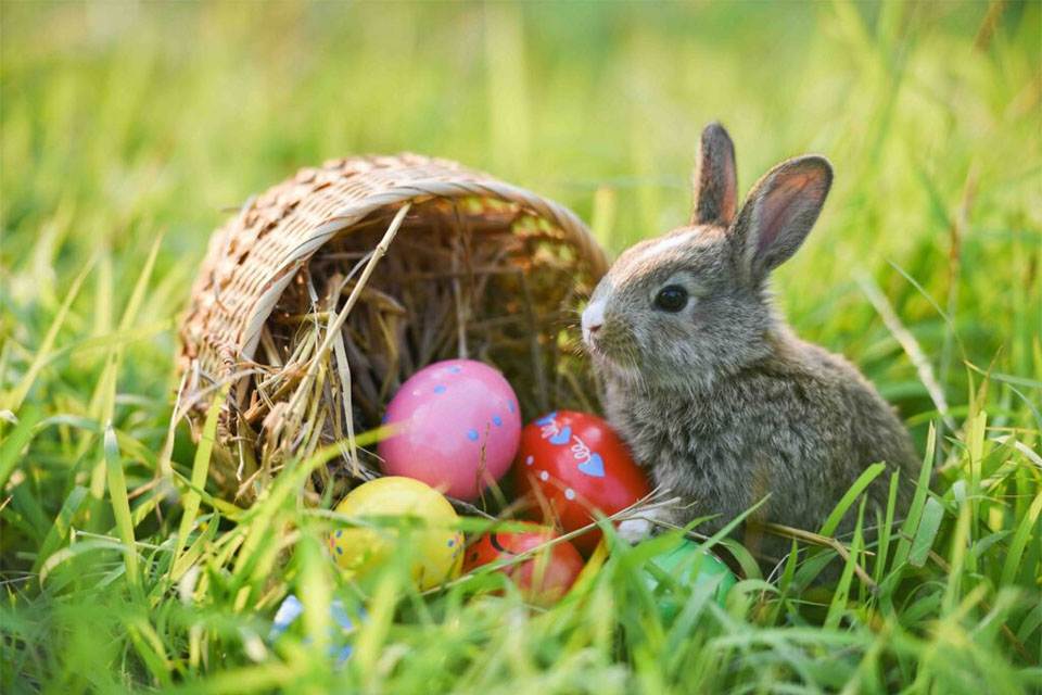 A small brown rabbit sits next to a tipped-over wicker basket with colorful Easter eggs scattered on green grass.