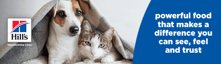 A dog and a cat cuddle under a gray blanket next to the Hills logo. Text reads: powerful food that makes a difference you can see, feel and trust.