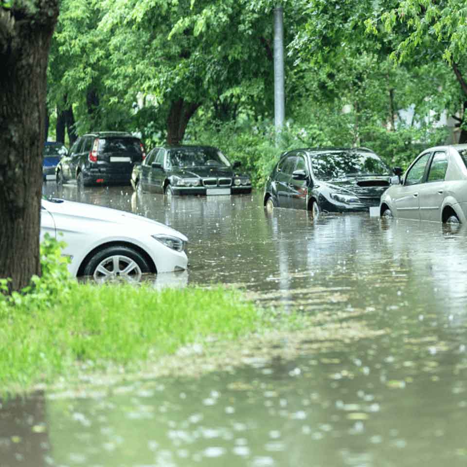 Several parked cars are partially submerged on a street flooded with rainwater, surrounded by green trees and grass.