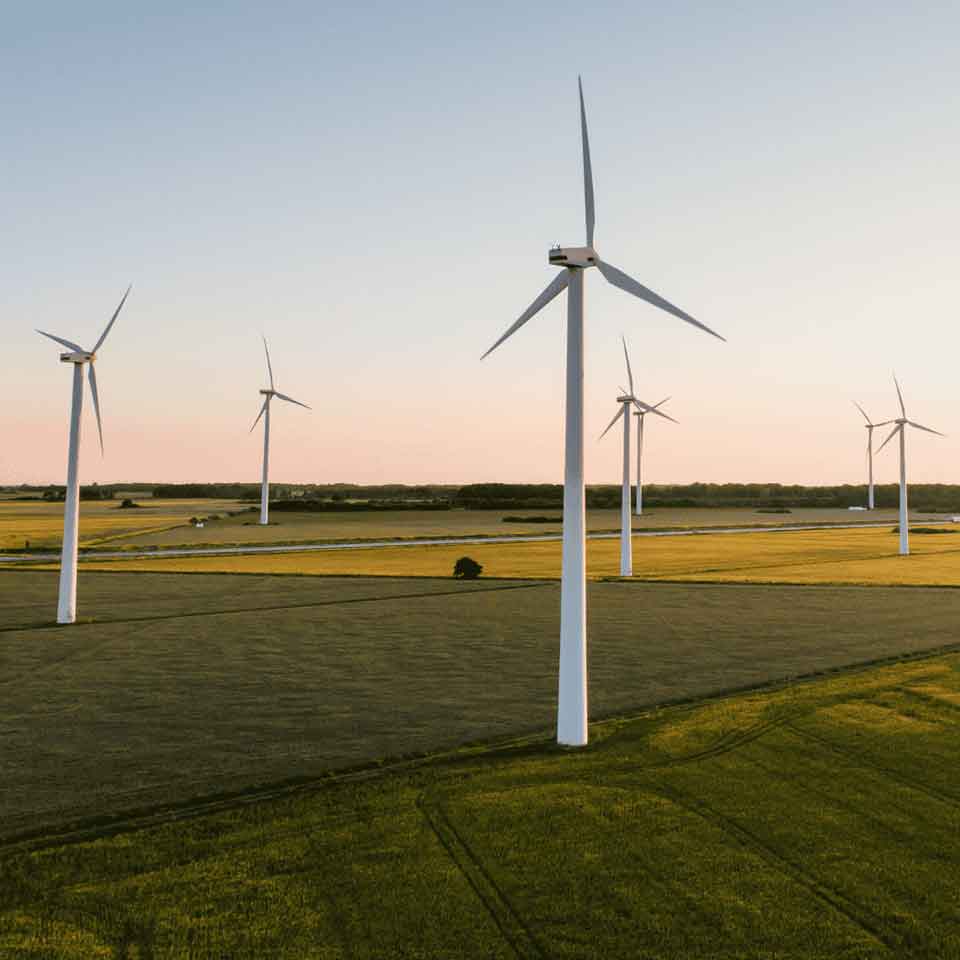 Wind turbines stand in a green field at sunset, generating renewable energy. The sky is clear with a warm hue, and the landscape is flat with scattered patches of trees and distant horizon.