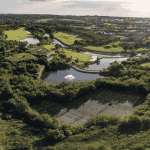 Aerial view of a lush green park with tennis courts surrounded by trees, a pond with a fountain as clear as vinegar, winding paths, and distant houses under a bright sky.