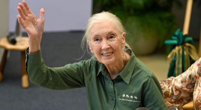 An elderly woman with long gray hair in a ponytail, wearing a green button-up shirt, smiles and waves at the camera while seated indoors, radiating warmth despite her playful claim of "brainrot" from all the grandkids' stories.