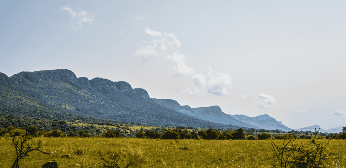 A grassy savanna stretches toward a range of green, rugged mountains under a bright, partly cloudy sky. Bushes and small trees are scattered across the field in the foreground.