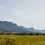 A grassy savanna stretches toward a range of green, rugged mountains under a bright, partly cloudy sky. Bushes and small trees are scattered across the field in the foreground.