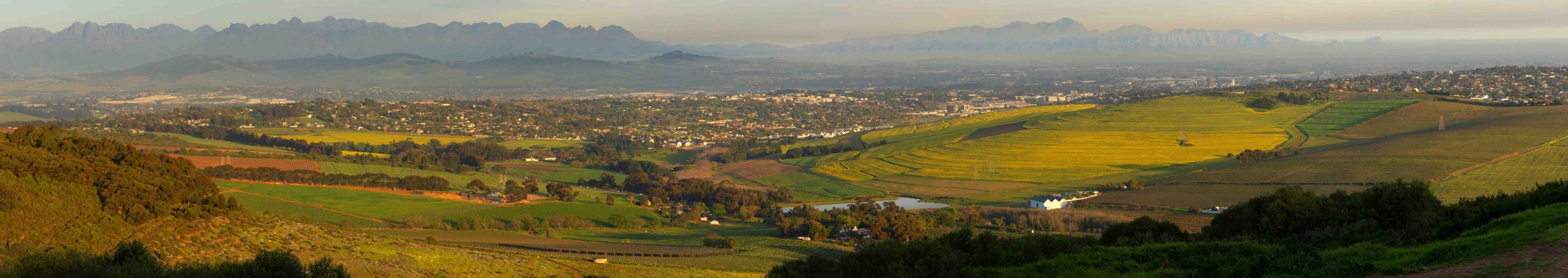 Panoramic view of a valley with green and yellow fields, vineyards, scattered buildings, and distant mountains under a hazy sky—an inviting travel getaway surrounded by bush and natural beauty.